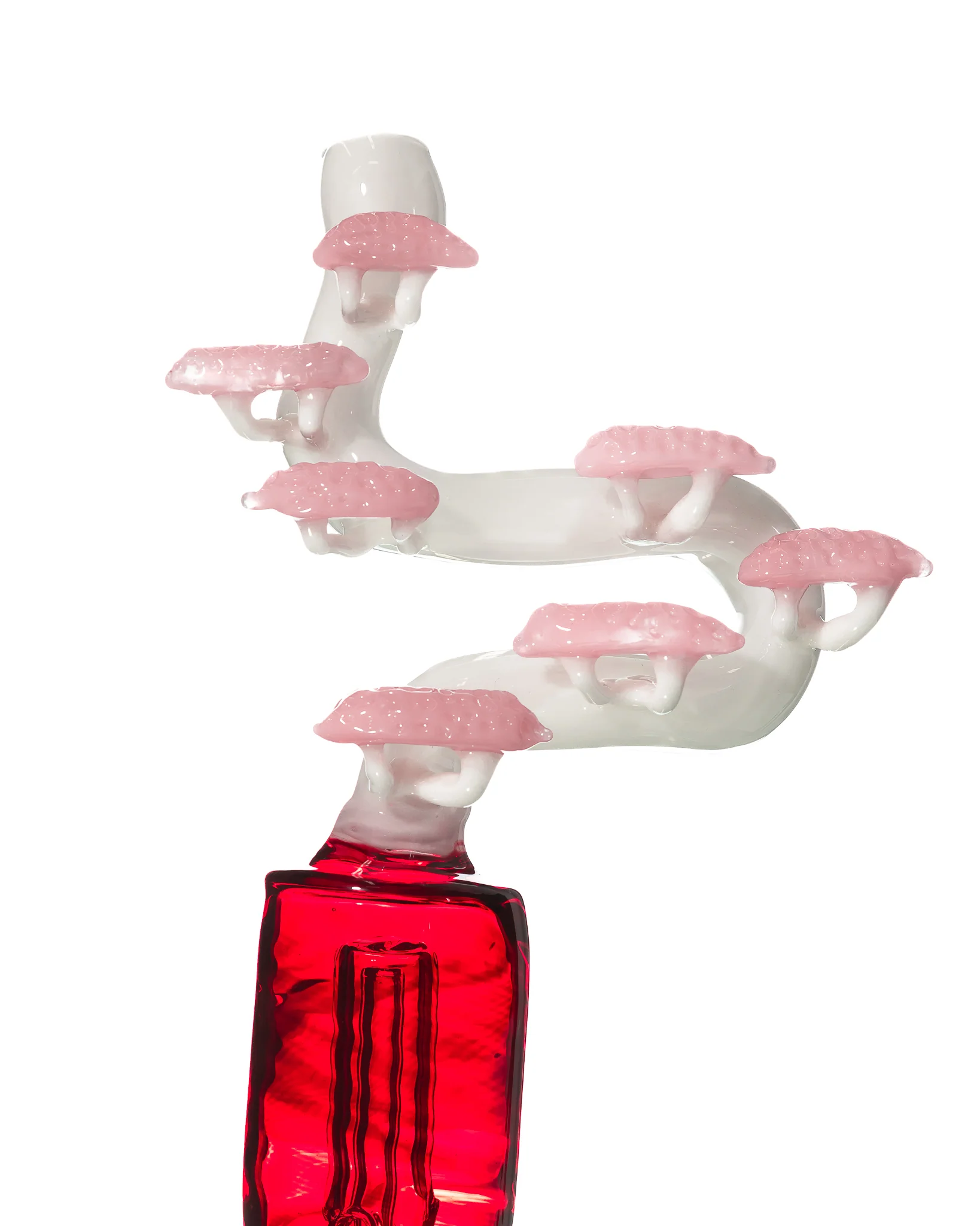 Cooper Glass - Bonsai Tree Puffco Toppers - Image 4