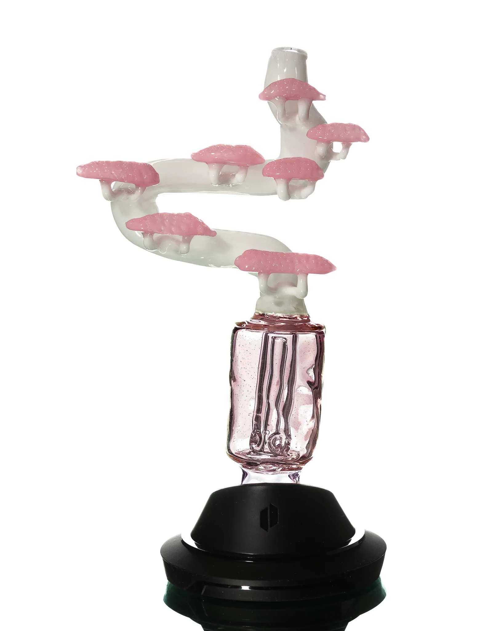 Cooper Glass - Bonsai Tree Puffco Toppers - Image 5