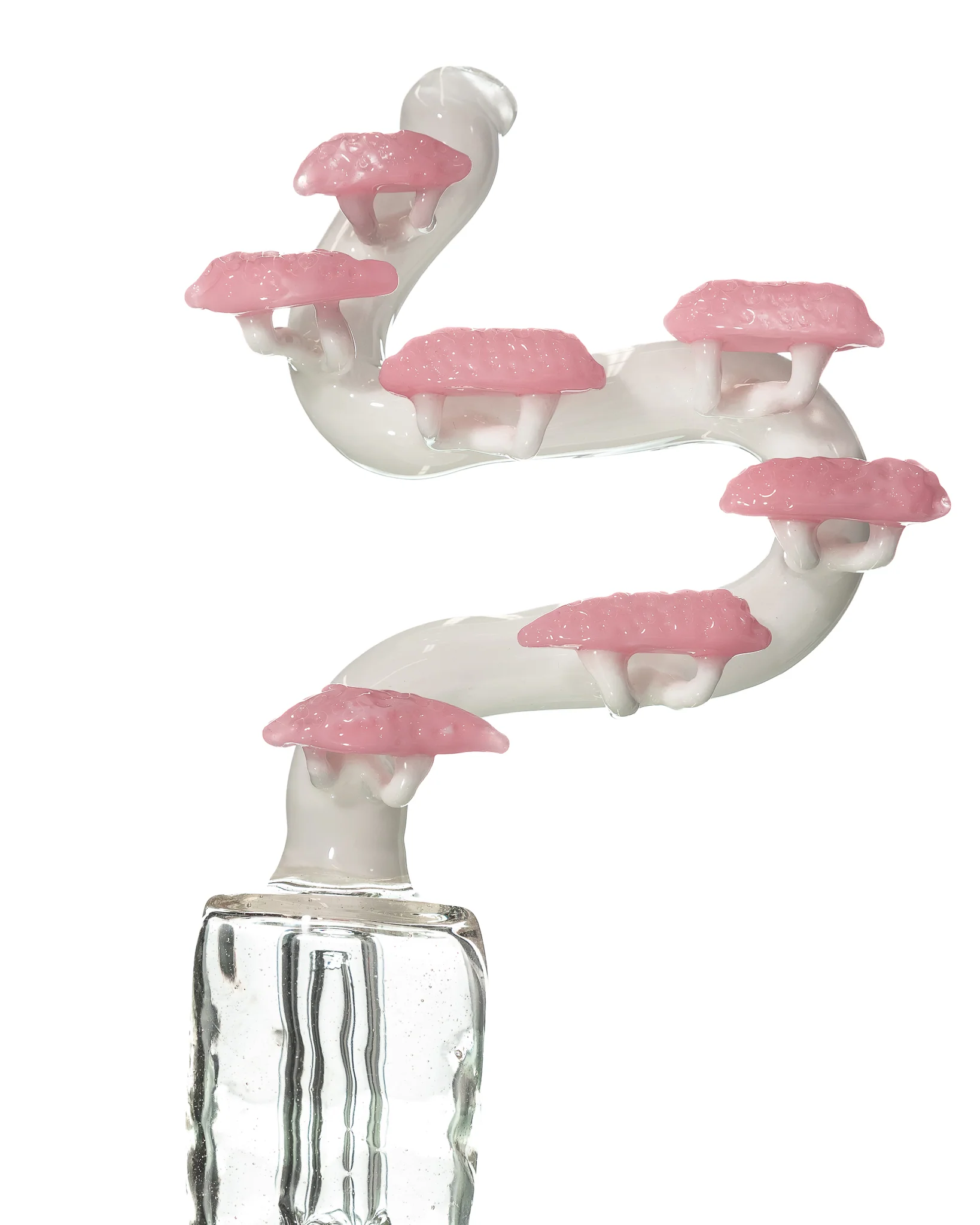 Cooper Glass - Bonsai Tree Puffco Toppers - Image 8